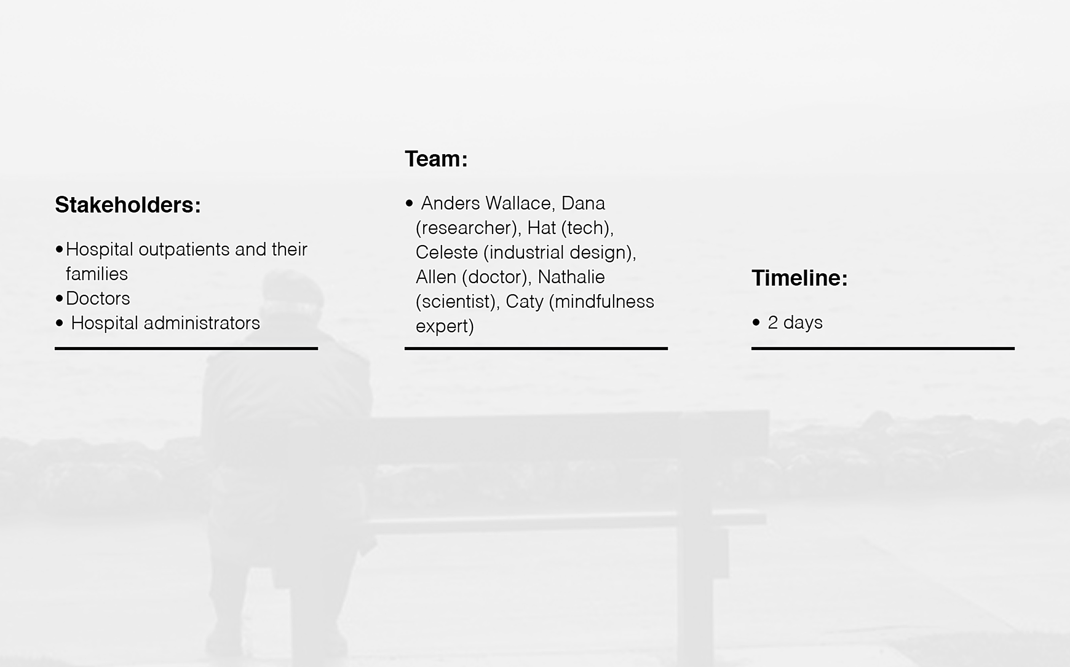 description of the project challenges, the stakeholders, the team members, and the timeline we had to finish the project