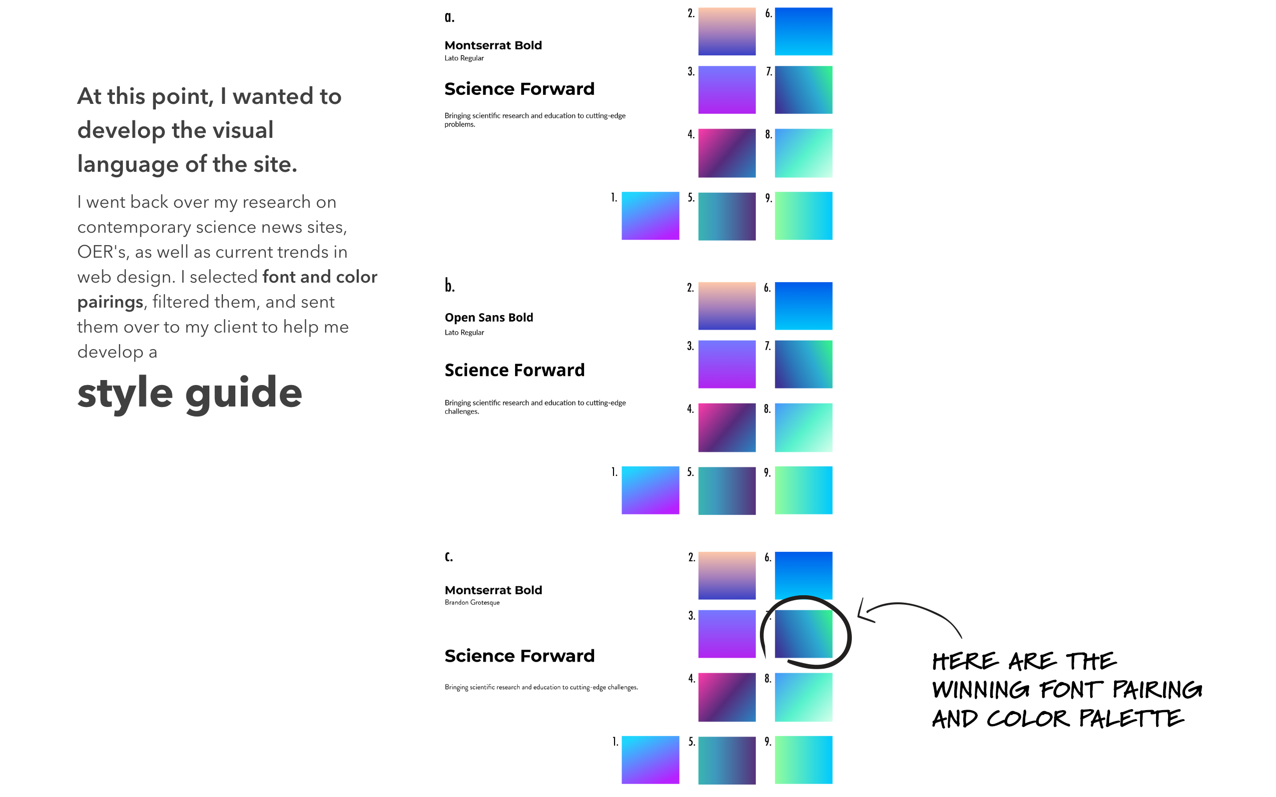developing color and font pairings for the new site design language